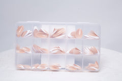 FT005A (Almond)